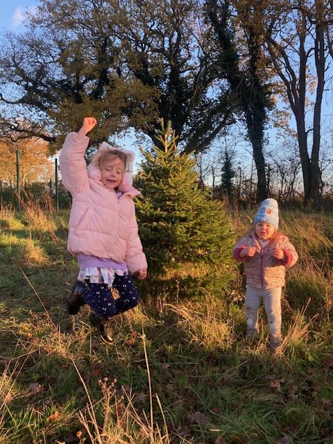 Cara and Eliza jumping by the Christmas tree